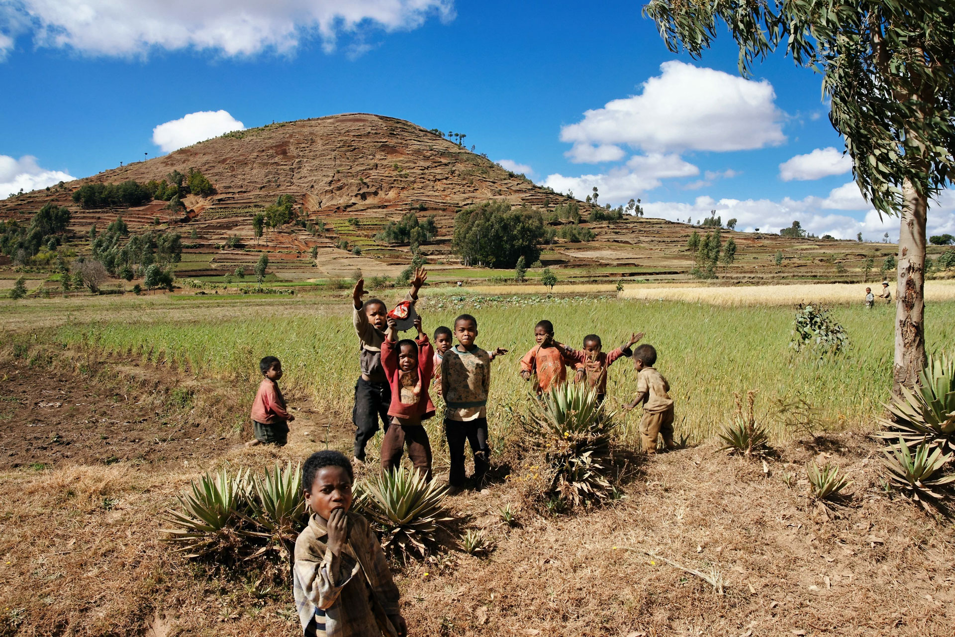 Wanderung vom Lac Tritriva zum Lac Andraikiba